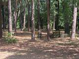 3742 Highway 90 - Photo 24