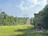 81.1+/- AC Old River Road - Photo 12