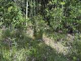 81.1+/- AC Old River Road - Photo 15