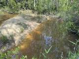 81.1+/- AC Old River Road - Photo 16