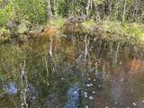 81.1+/- AC Old River Road - Photo 17
