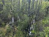 81.1+/- AC Old River Road - Photo 18