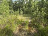 81.1+/- AC Old River Road - Photo 20