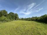 81.1+/- AC Old River Road - Photo 22