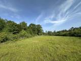 81.1+/- AC Old River Road - Photo 23