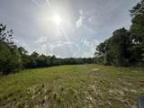81.1+/- AC Old River Road - Photo 24
