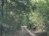 81.1+/- AC Old River Road - Photo 30