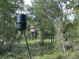 81.1+/- AC Old River Road - Photo 32