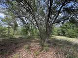 81.1+/- AC Old River Road - Photo 34