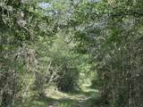 81.1+/- AC Old River Road - Photo 35