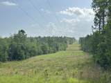 81.1+/- AC Old River Road - Photo 37
