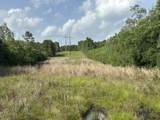 81.1+/- AC Old River Road - Photo 4