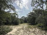81.1+/- AC Old River Road - Photo 40