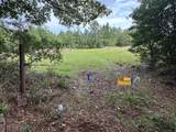 81.1+/- AC Old River Road - Photo 42