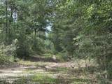 81.1+/- AC Old River Road - Photo 43