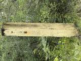 81.1+/- AC Old River Road - Photo 45