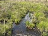 81.1+/- AC Old River Road - Photo 48