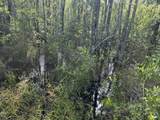 81.1+/- AC Old River Road - Photo 50