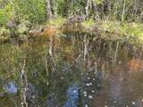 81.1+/- AC Old River Road - Photo 52