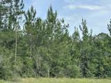 81.1+/- AC Old River Road - Photo 8