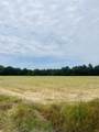 14.4 ACRES Hwy 231 - Photo 5