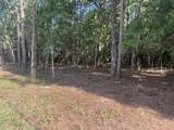 TBD Sparkleberry Lane - Photo 26