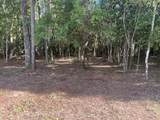 TBD Sparkleberry Lane - Photo 27