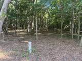 TBD Sparkleberry Lane - Photo 28