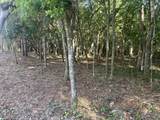 TBD Sparkleberry Lane - Photo 29