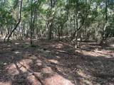 TBD Sparkleberry Lane - Photo 30