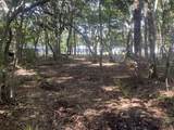TBD Sparkleberry Lane - Photo 31