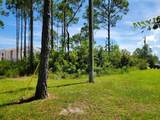 Lot 8 Delbert Lane - Photo 6