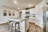 6384 Firefly Drive - Photo 10