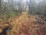 1461 Babe Lawrence Road - Photo 12