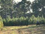 Tract#6201 Doyle Morgan Road - Photo 4