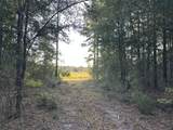 Tract#6201 Doyle Morgan Road - Photo 5