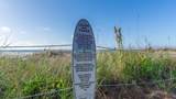 11807 Front Beach Road - Photo 42