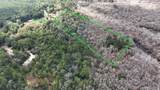TBD Strickland Road - Photo 13