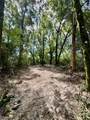 TBD Strickland Road - Photo 8
