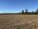 Lot 1 Hwy 71 - Photo 3