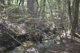 2928 Aplin (33 Ac.) Road - Photo 41