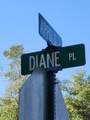 Lot 37 Diane Place - Photo 9