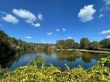 1500 Big Creek Cove - Photo 47