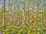 Lot 6 Cypress Drive - Photo 28