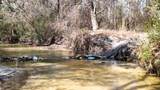 4857 County Hwy 181 - Photo 4