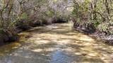 4857 County Hwy 181 - Photo 5
