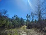 4857 County Hwy 181 - Photo 7