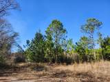 4857 County Hwy 181 - Photo 8
