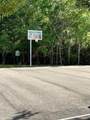220 Date Palm Lane - Photo 8