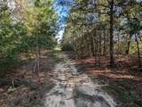 TBD Willow Bend Drive - Photo 1
